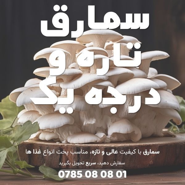 تبلیغ